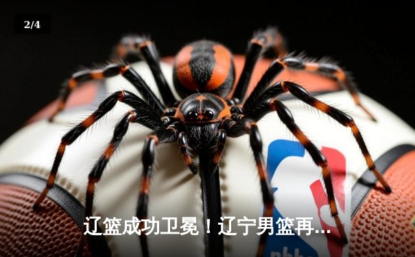 辽篮成功卫冕！辽宁男篮再夺CBA总冠军 - 2